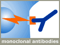 monoclonal antibody therapy